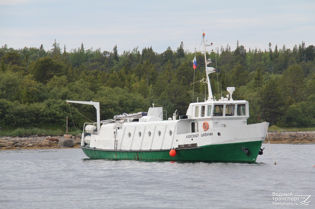 Александр Шабалин