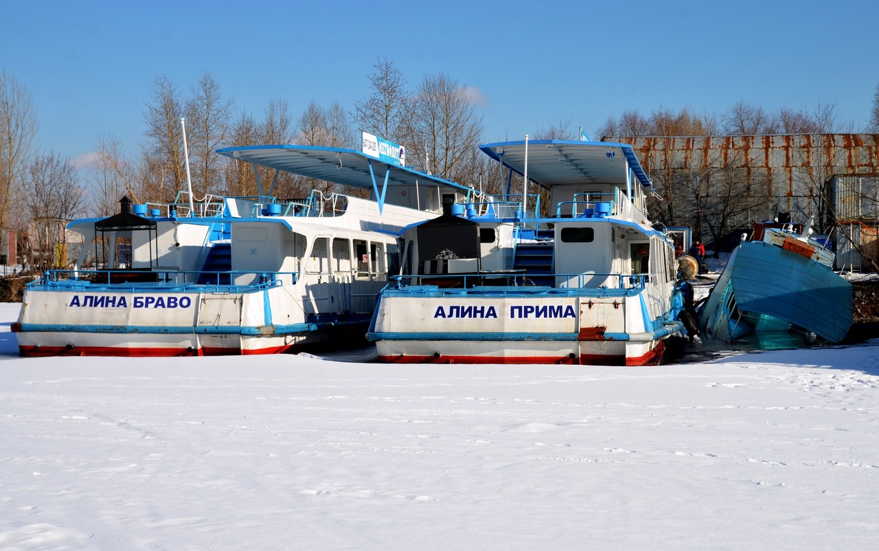 Алина Браво, Алина Прима, Алина Танго