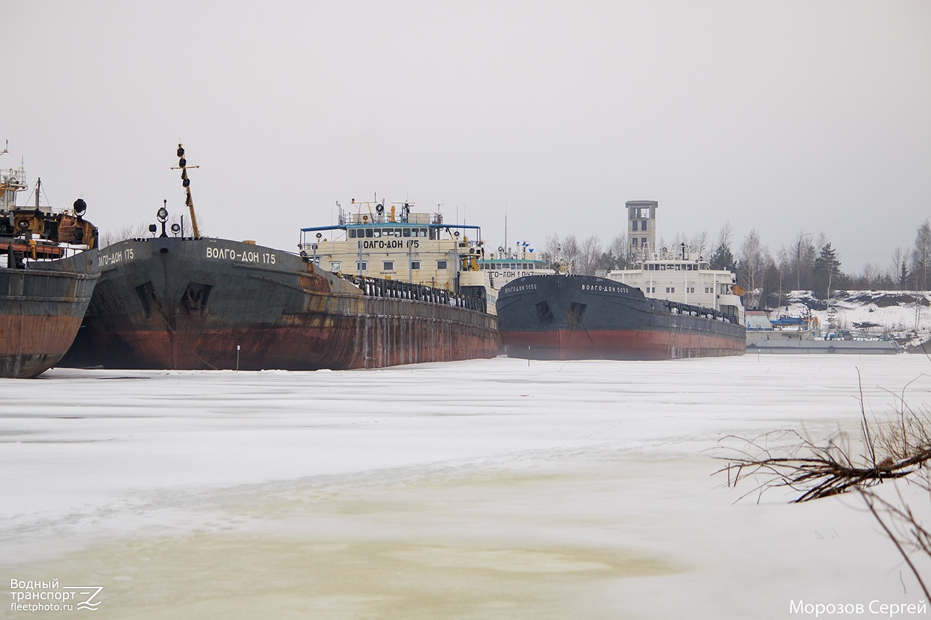 Волго-Дон 175, Волго-Дон 5050