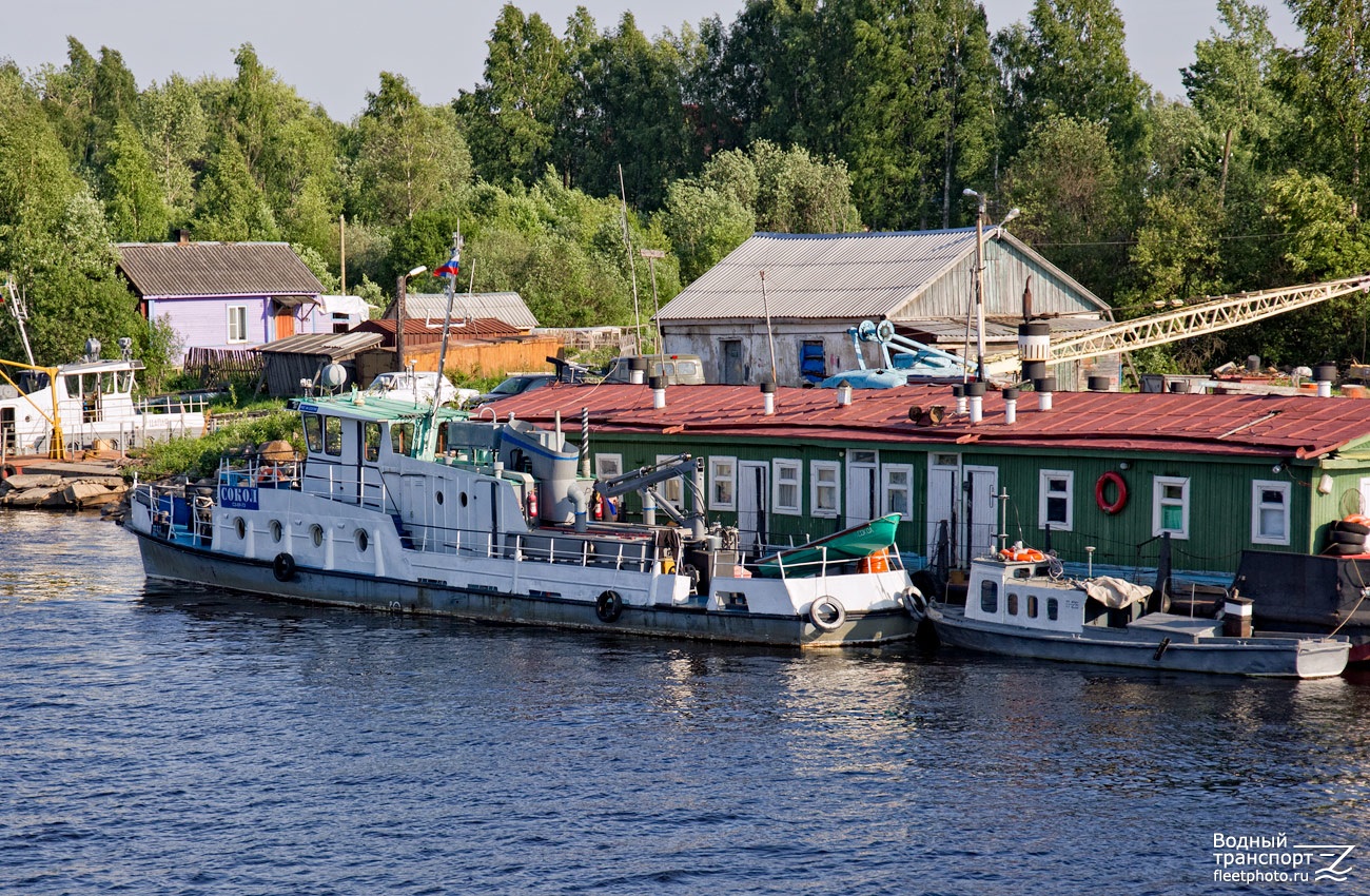 Сокол, Путейский-126