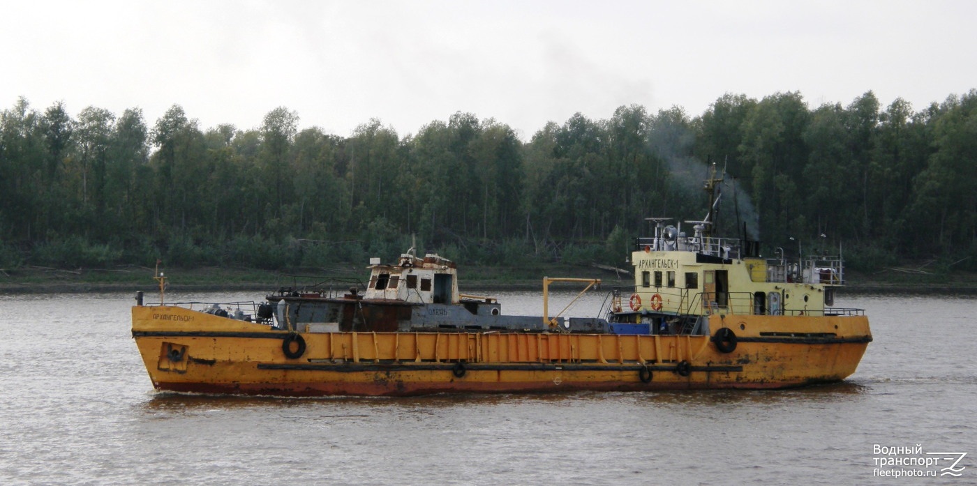 Архангельск-1, Олень