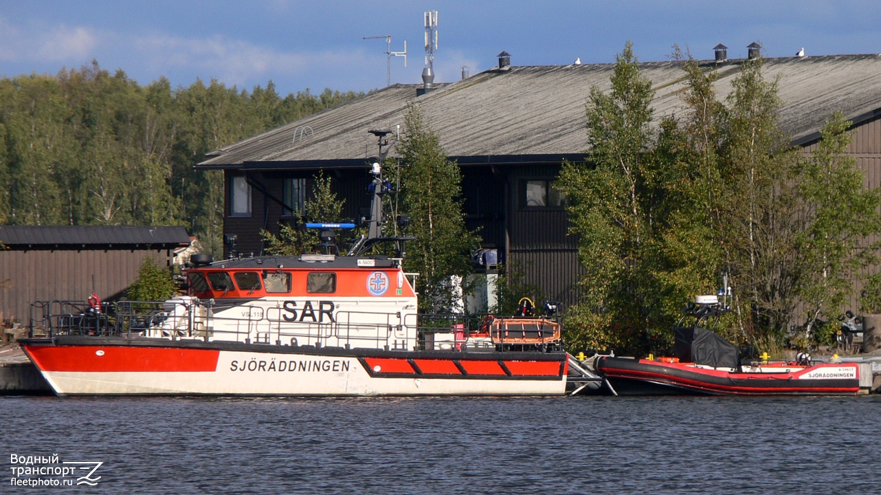 Kotka, Lassi