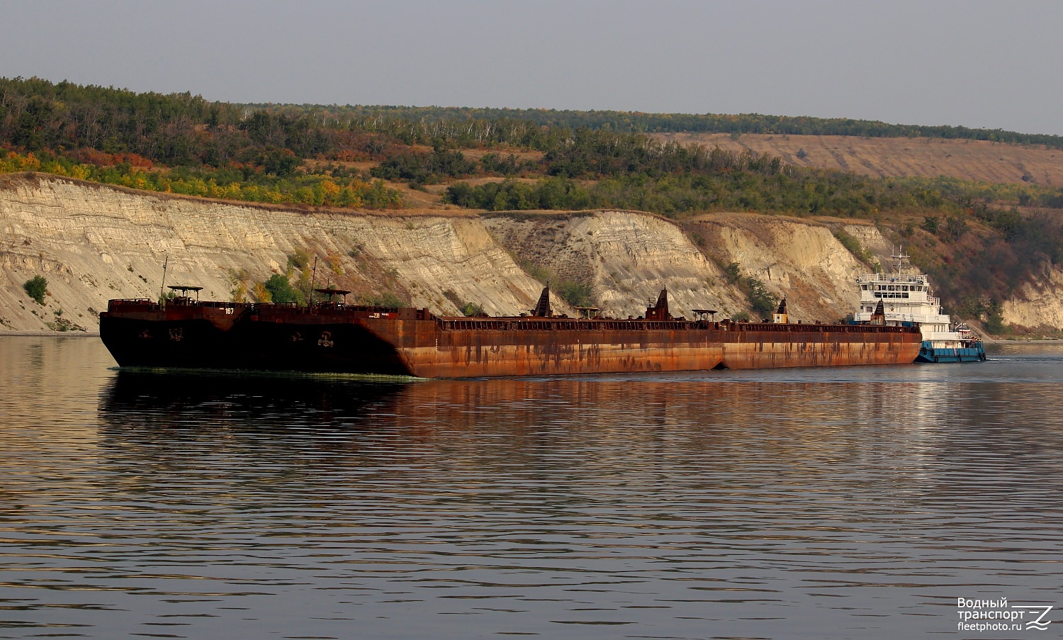 Секция-239, Секция-172, Профессор Рыжов