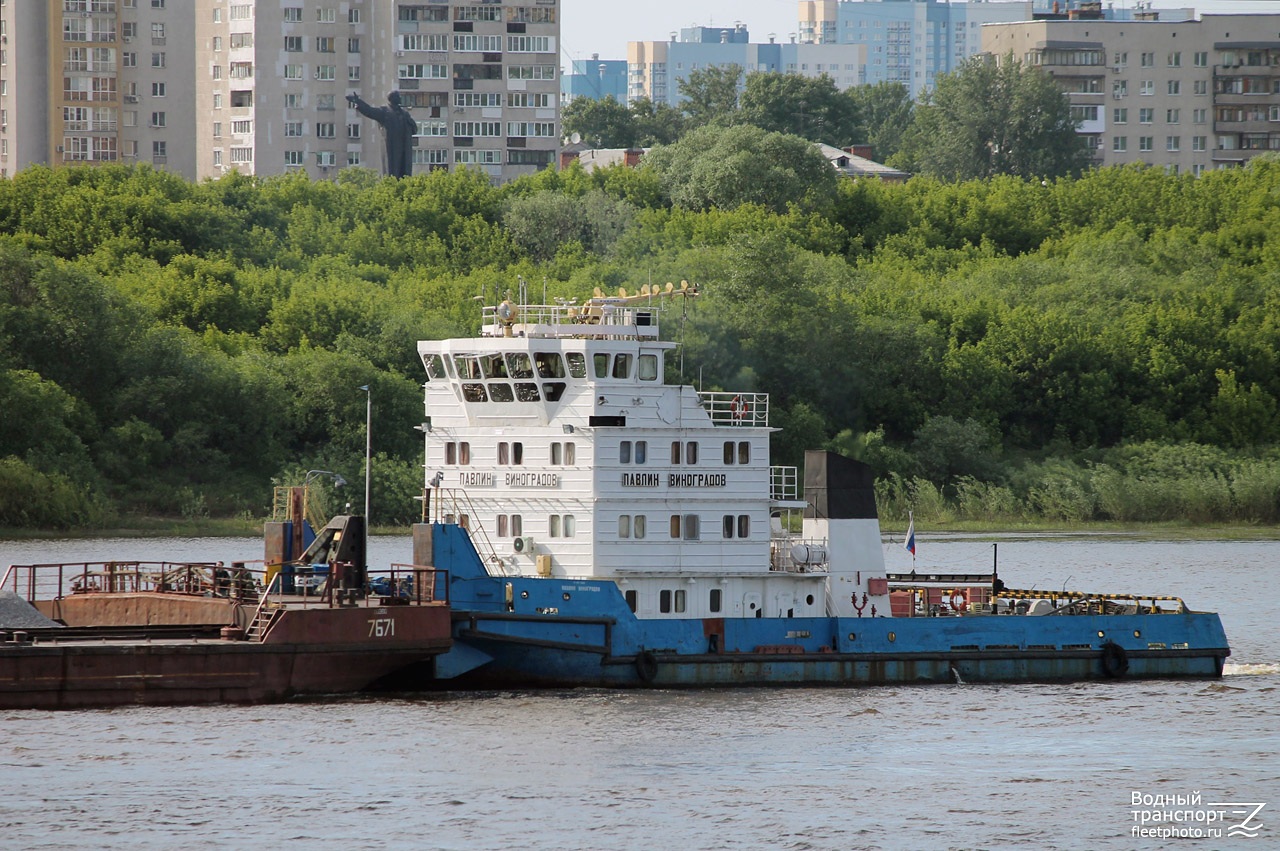 Павлин Виноградов