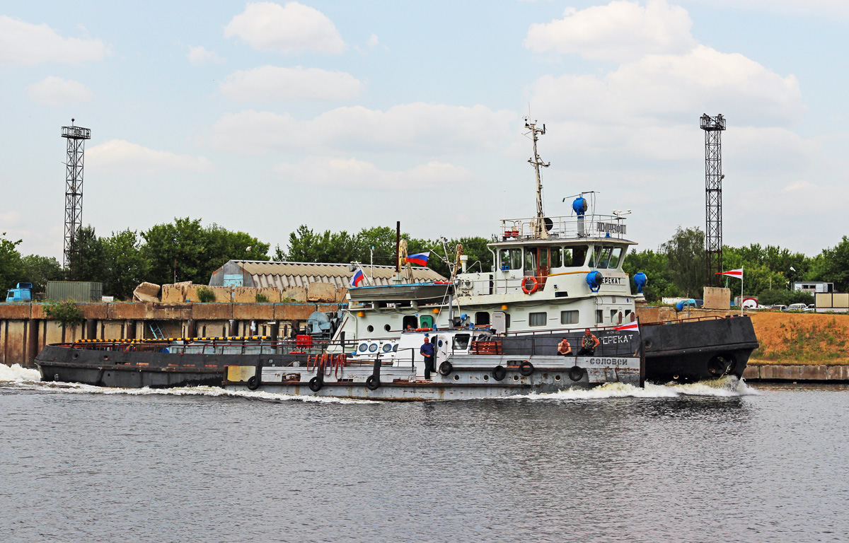 Перекат, Соловей