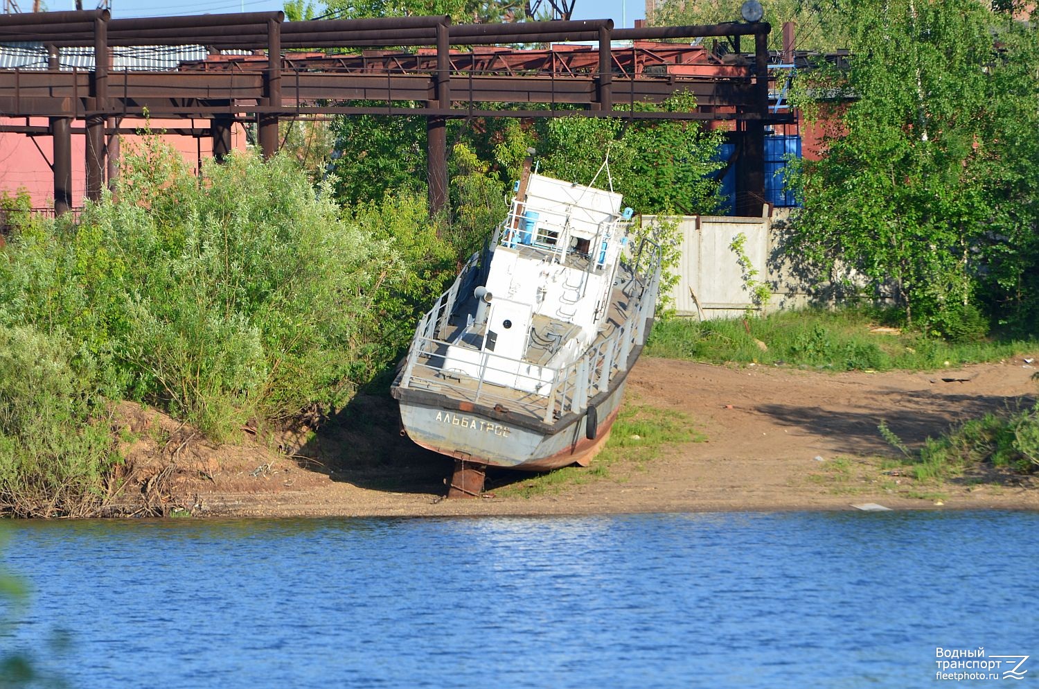 Альбатрос