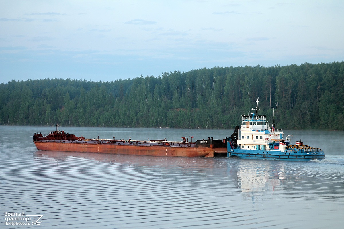 Бельская-48, Урал-31