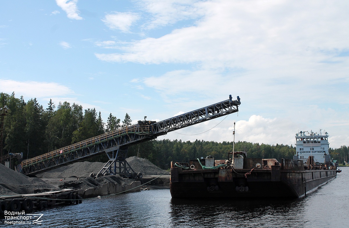 7704, Алексей Карташов