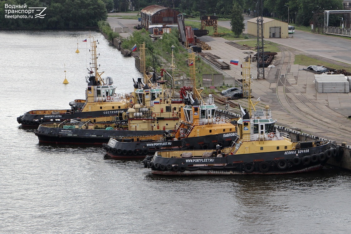 Сестрорецк, Меркурий, Павловск, Леонид Бочков