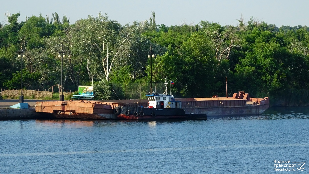 Т-301, Морж