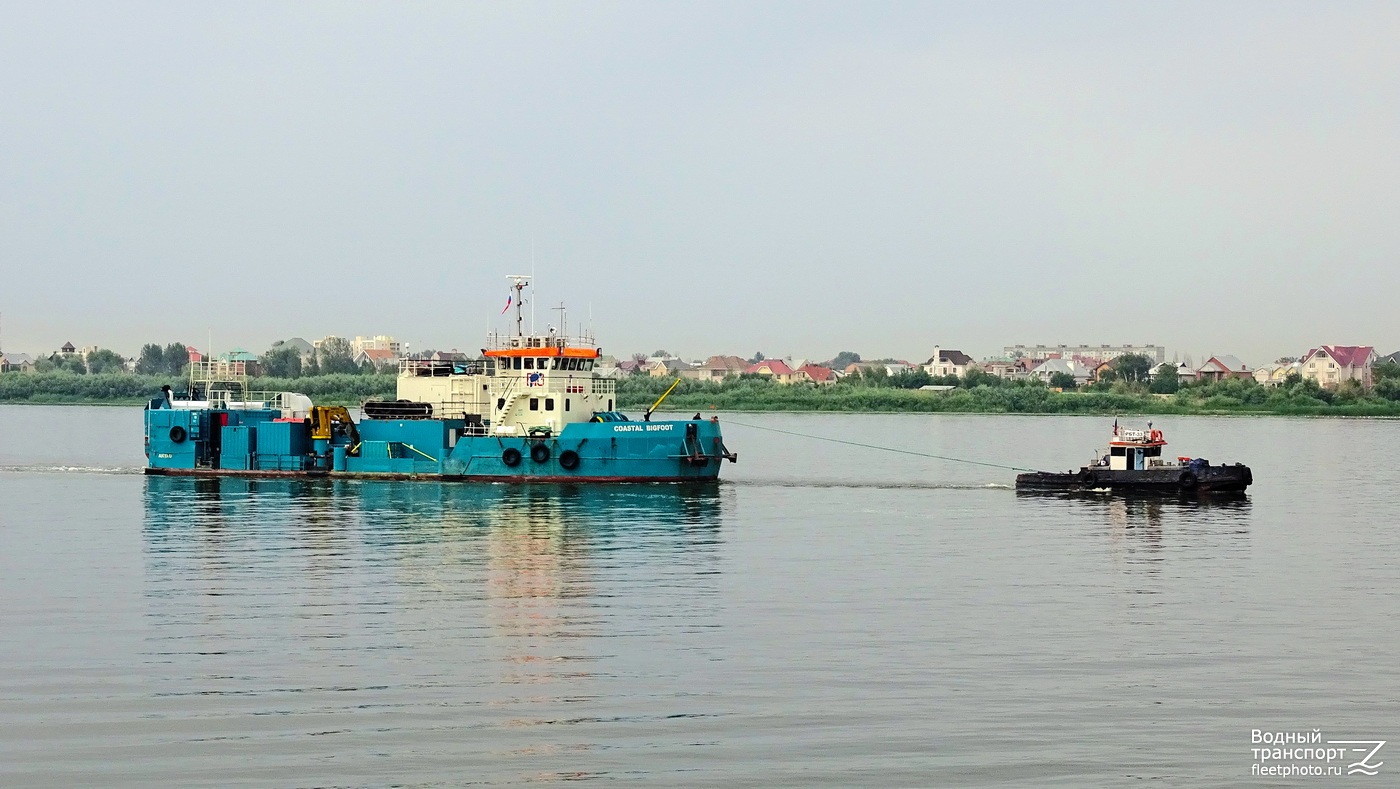 Coastal Bigfoot, РБТ-33