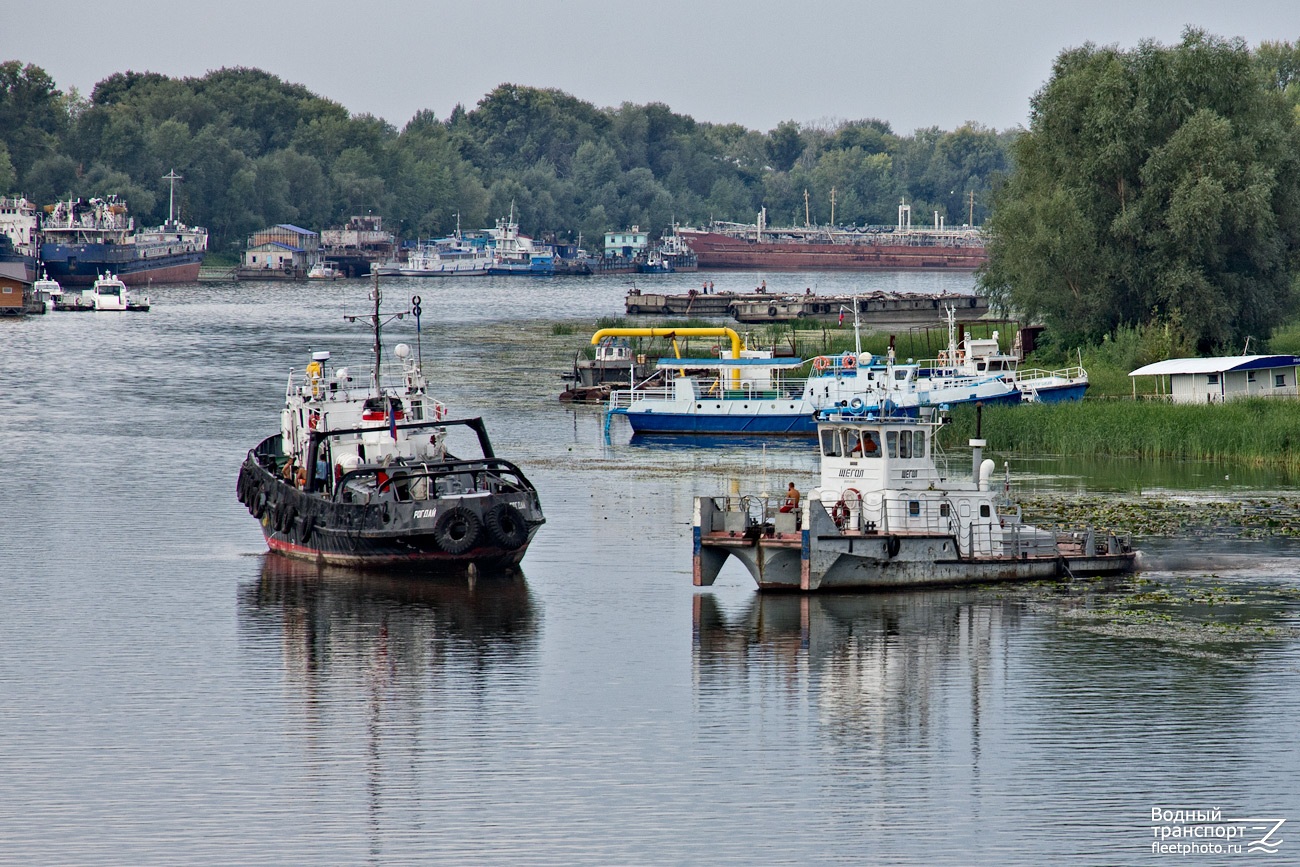 Рогдай, Щегол