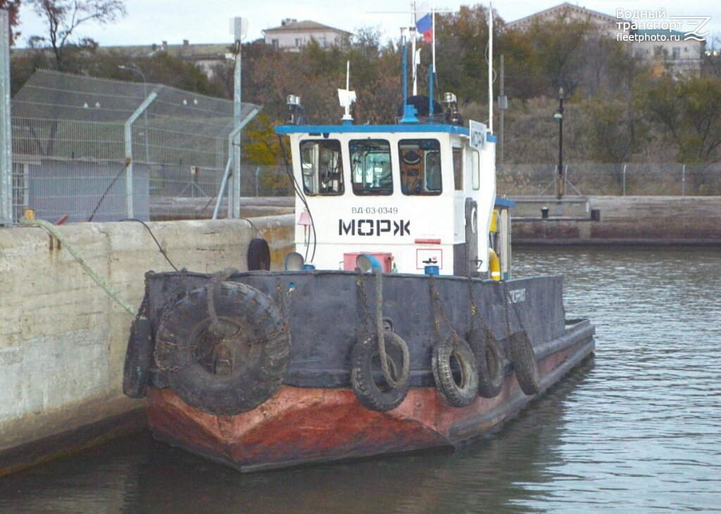 Морж