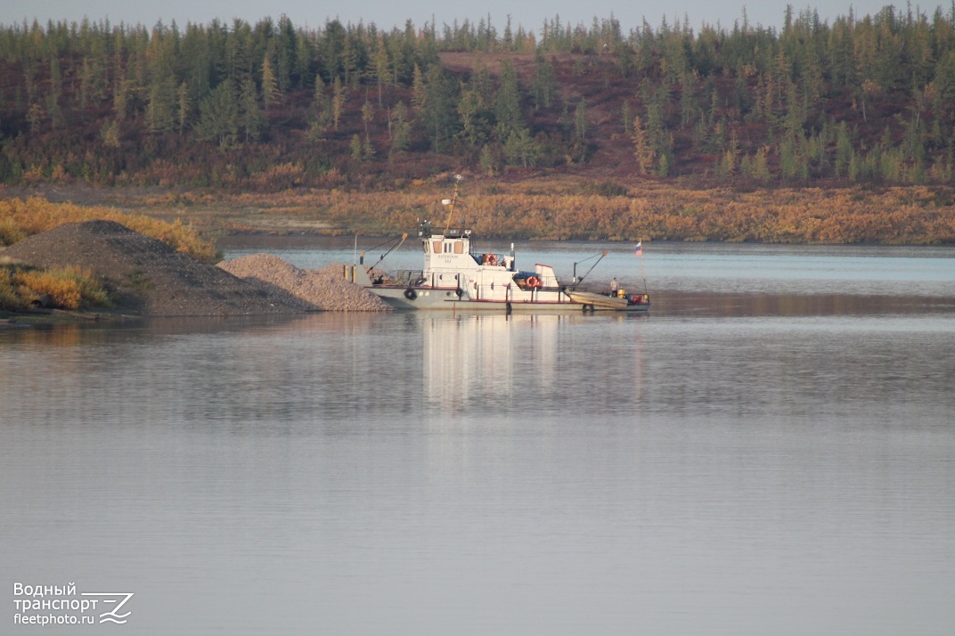 Путейский-302