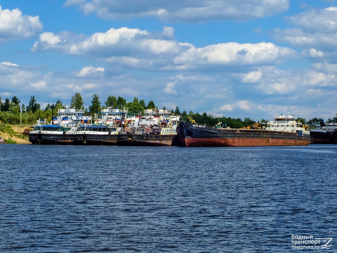 Волго-Дон 80, Волго-Дон 5016, Волго-Дон 5091, Волго-Дон 97