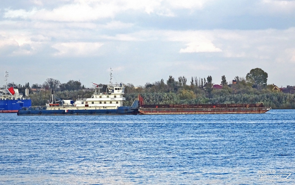 Гризли, Nereus