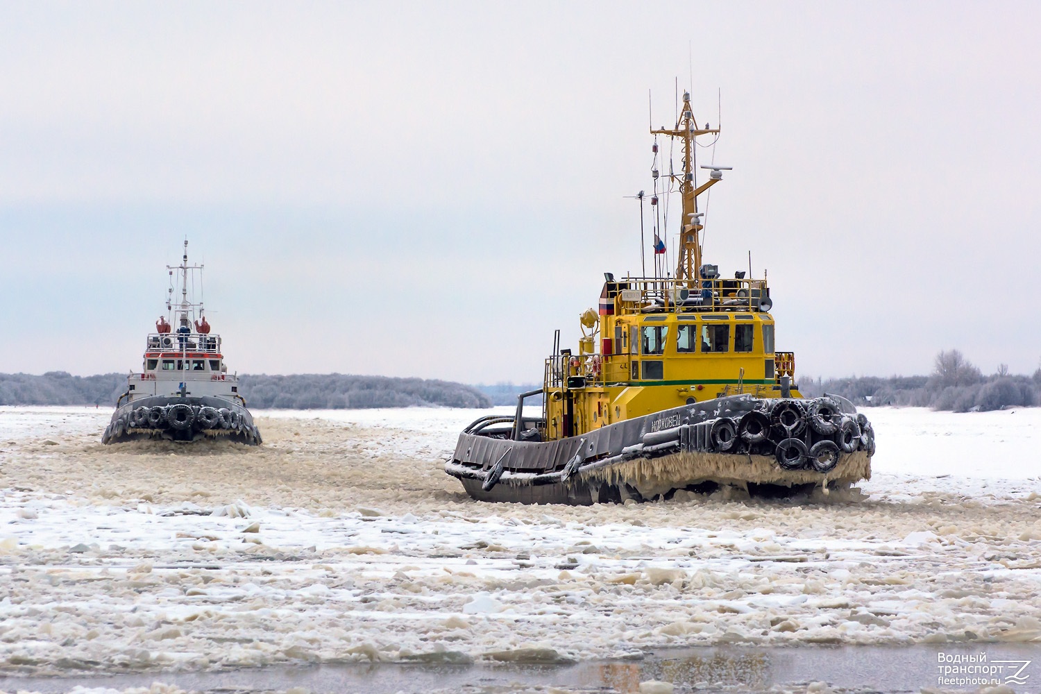 Сергей Сердаков, Моржовец