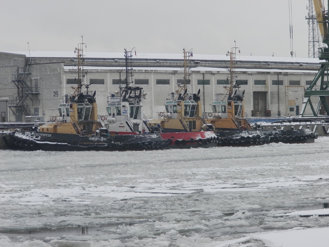 Сестрорецк, Мощный, Евгений Кочешков, Павловск