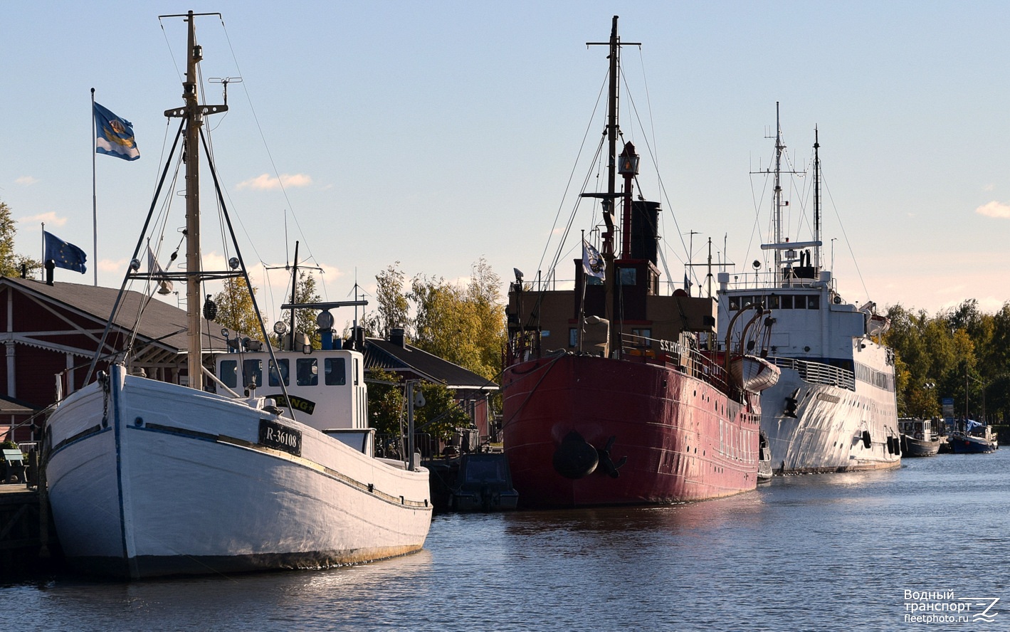 Herring, S/S Hyöky