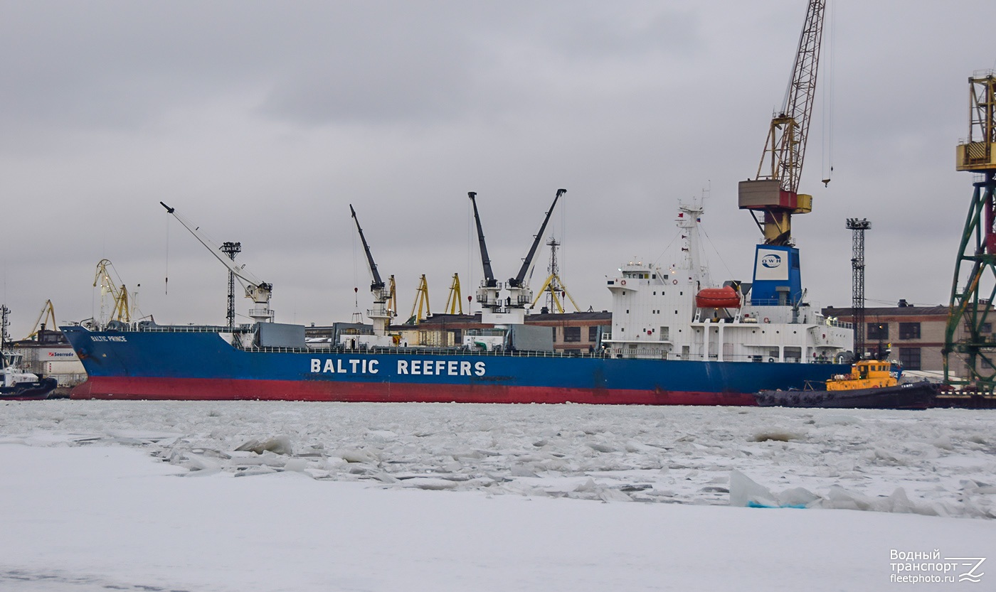 Baltic Prince, Туман