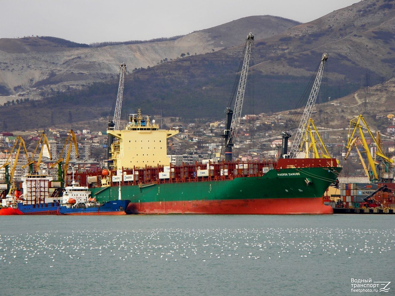 Maersk Danube, Неман