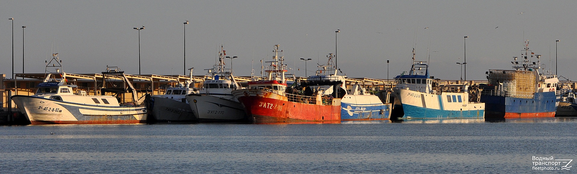 Guillo Perez, Yayo Campanares, Magu, Agriao