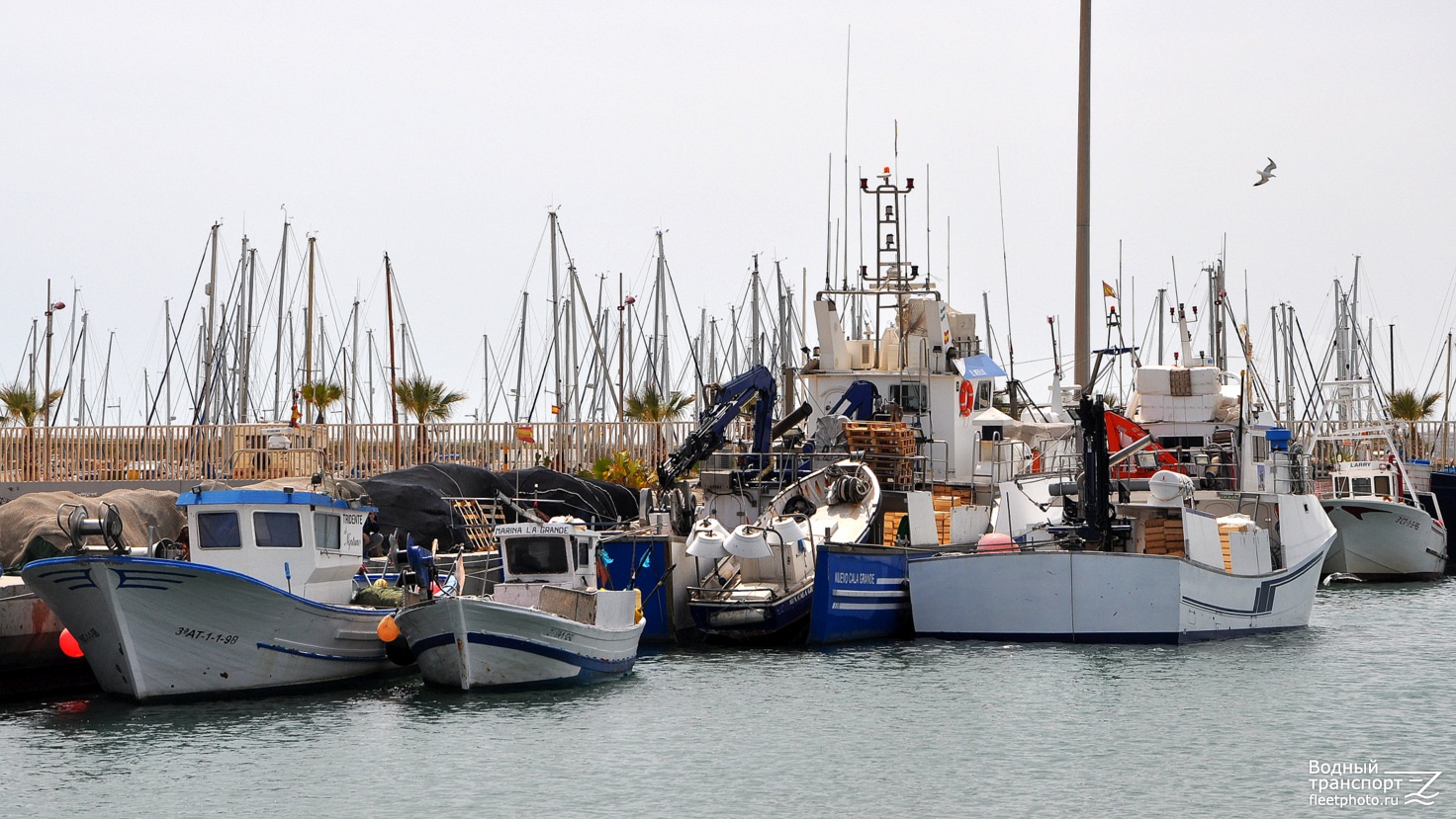 Tridente De Neptuno, Marina La Grande, Nuevo Cala Grande, Alonso Cazorla