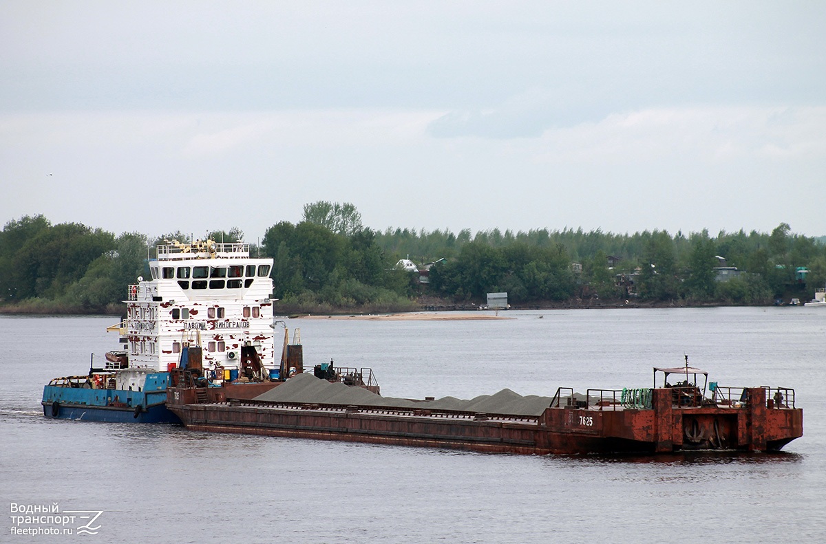 7625, Павлин Виноградов