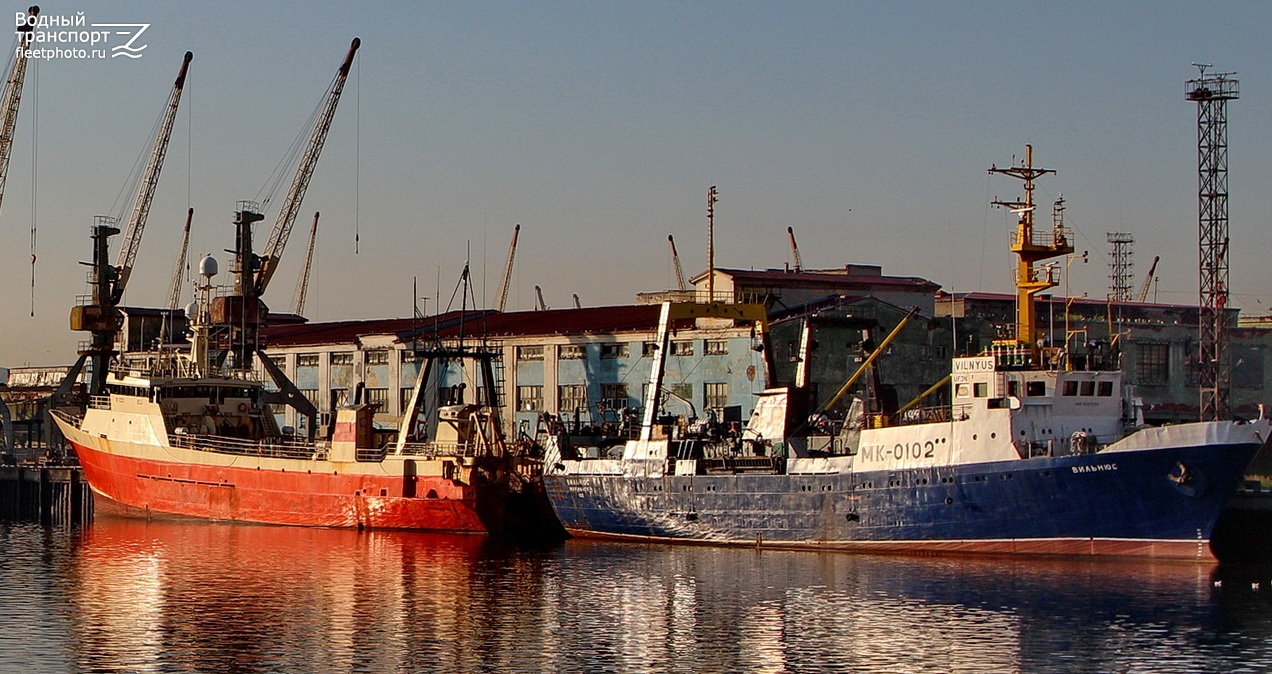 Витязь, Вильнюс