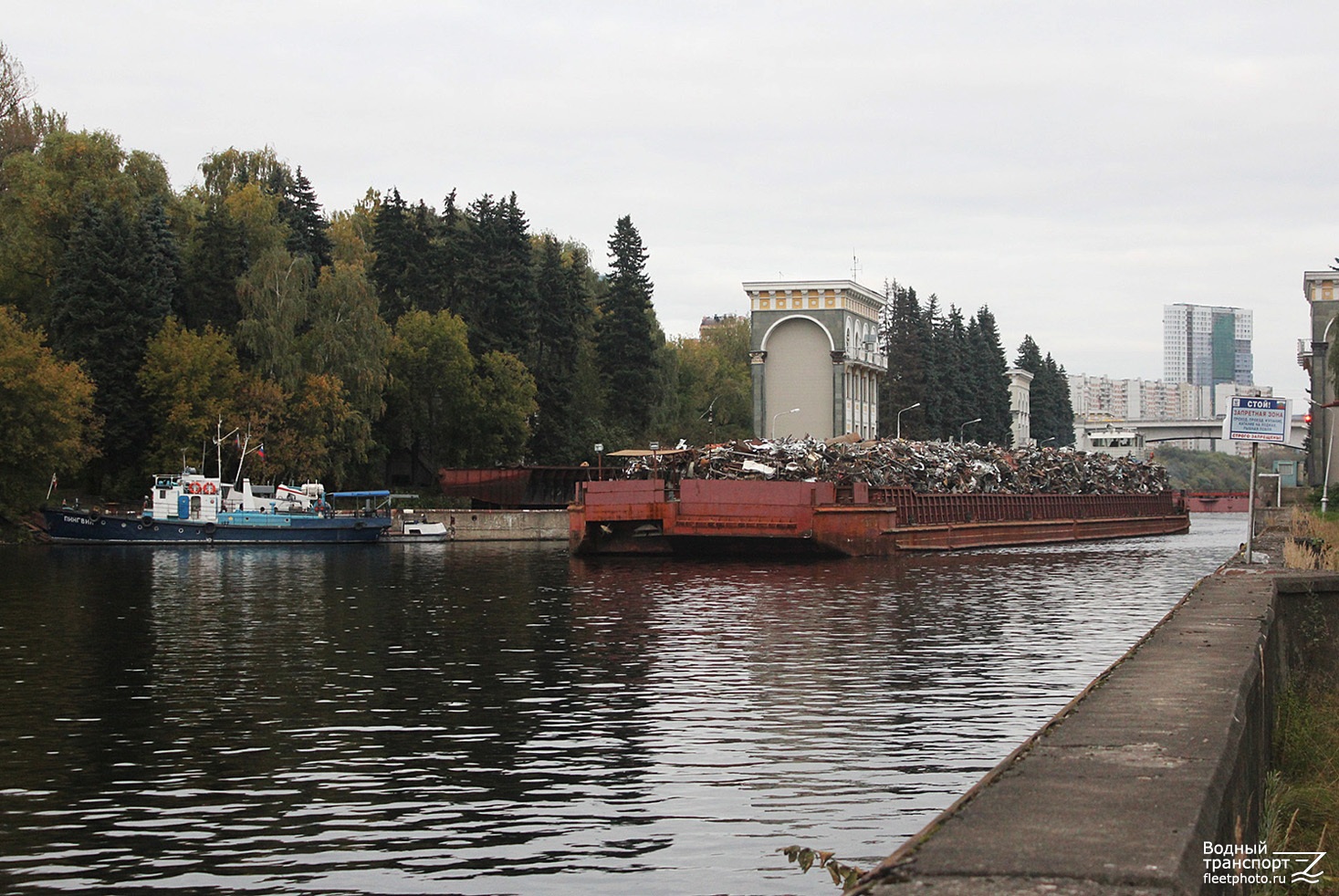 Пингвин, 3303