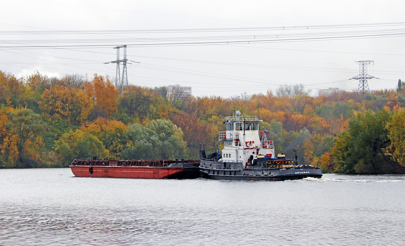 Т-301, Дельфин