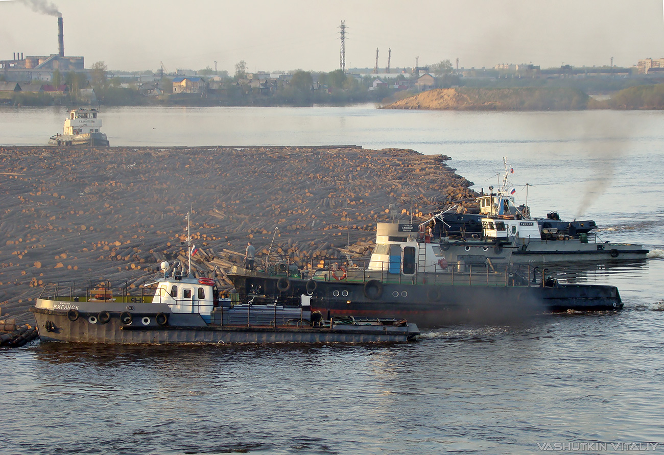 Жиганск, Александр Шавров, Гирвас, Антей, Кадников