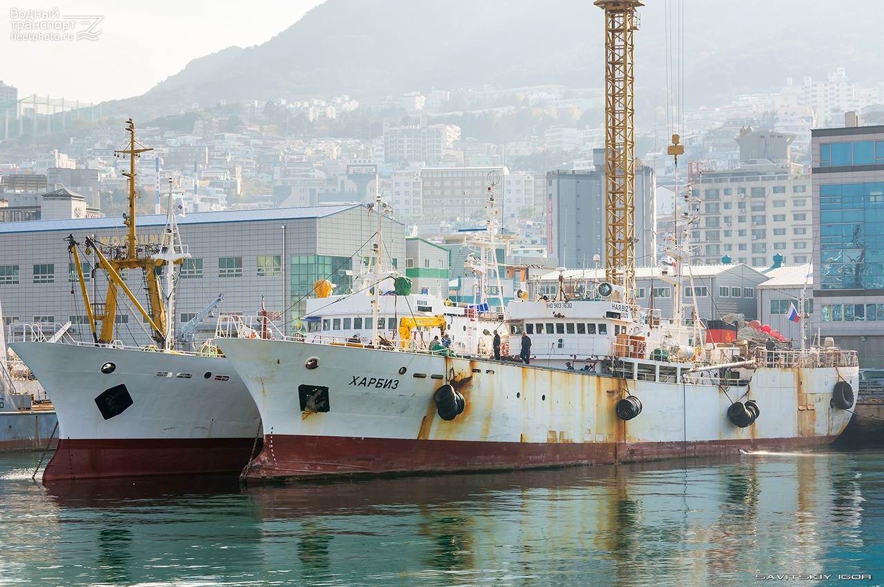 Atlantic Reefer, Харбиз