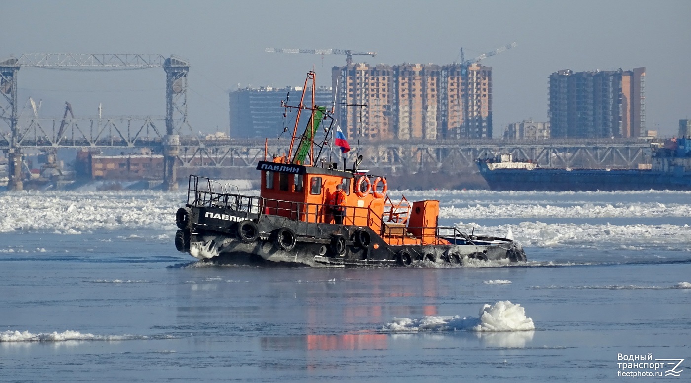 Павлин