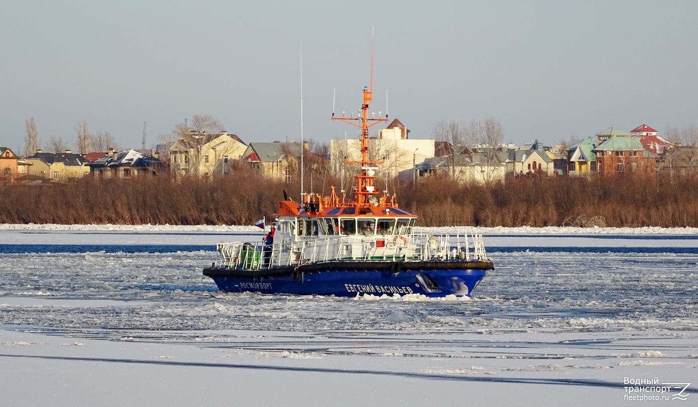 Евгений Васильев