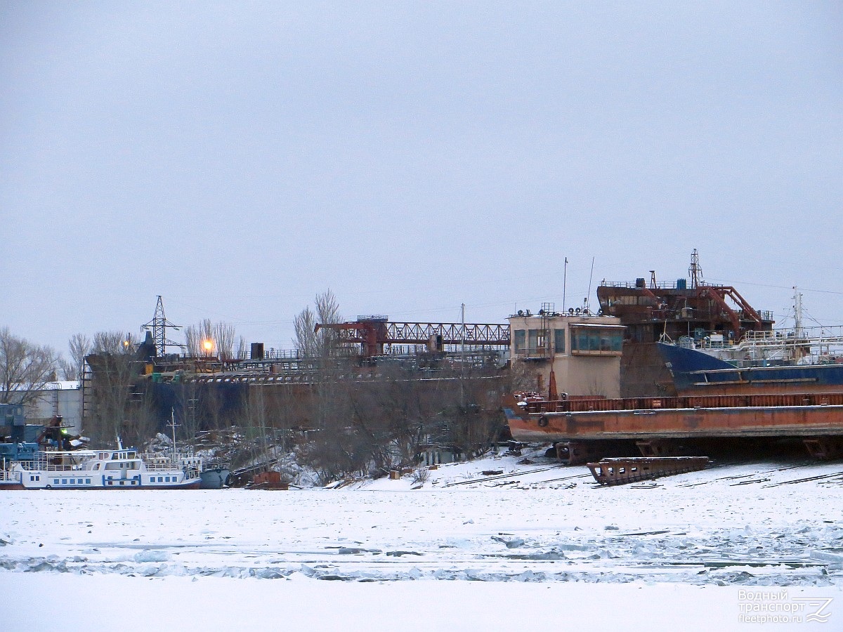 Настенька, Марлин