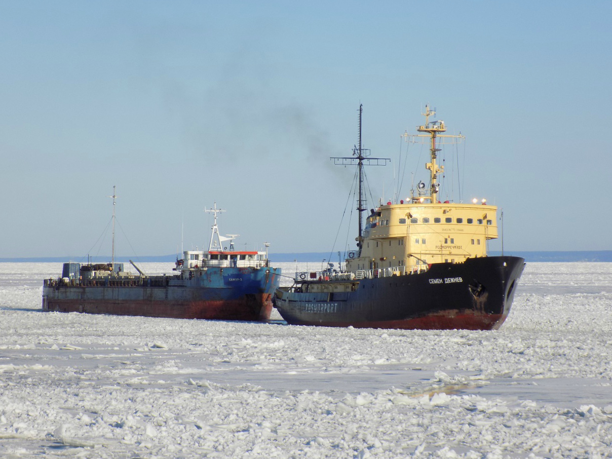 Самур 3, Семён Дежнёв