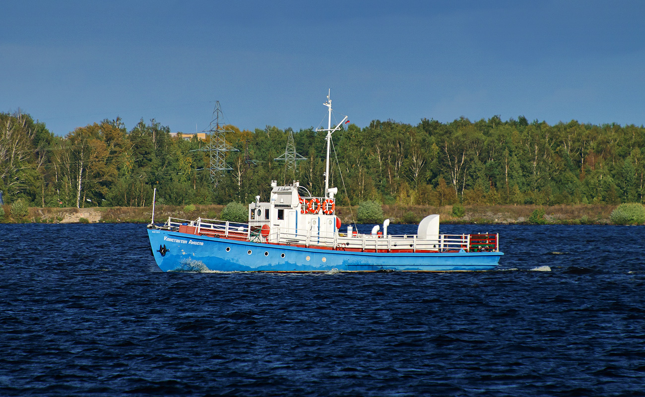 Константин Амосов