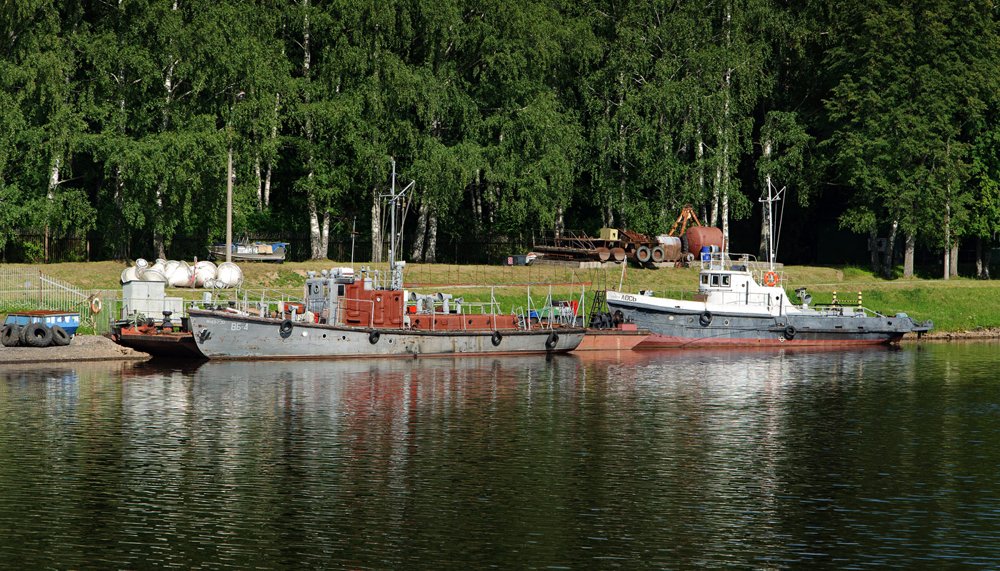 ВБ-4, Лось