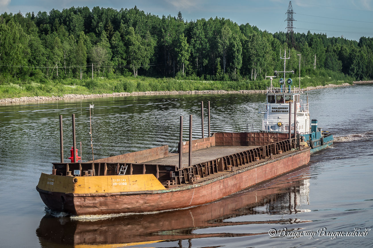 НВ-0002, Владимир Наймушин