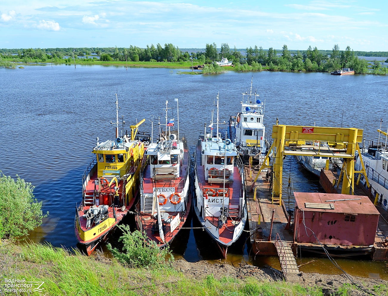 Голубь, Откос, Аист, Ласточка