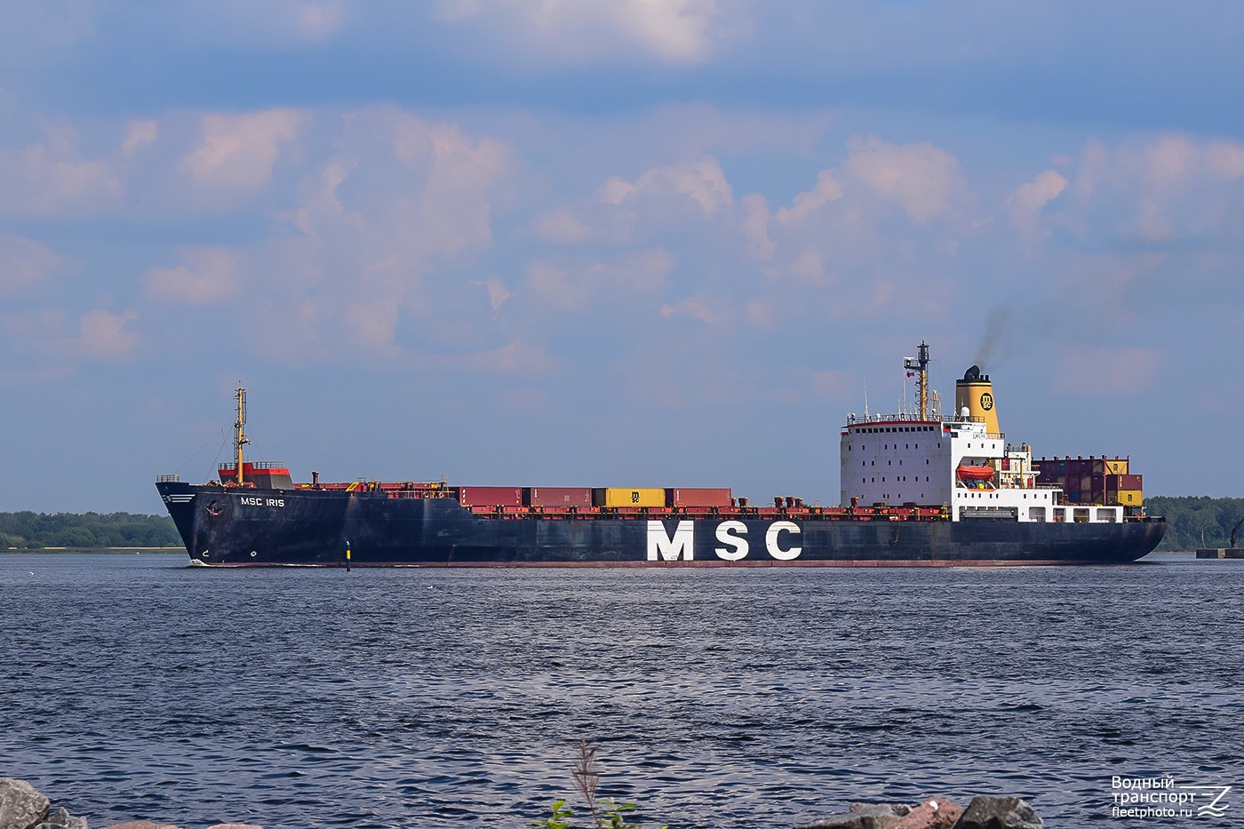 MSC Iris