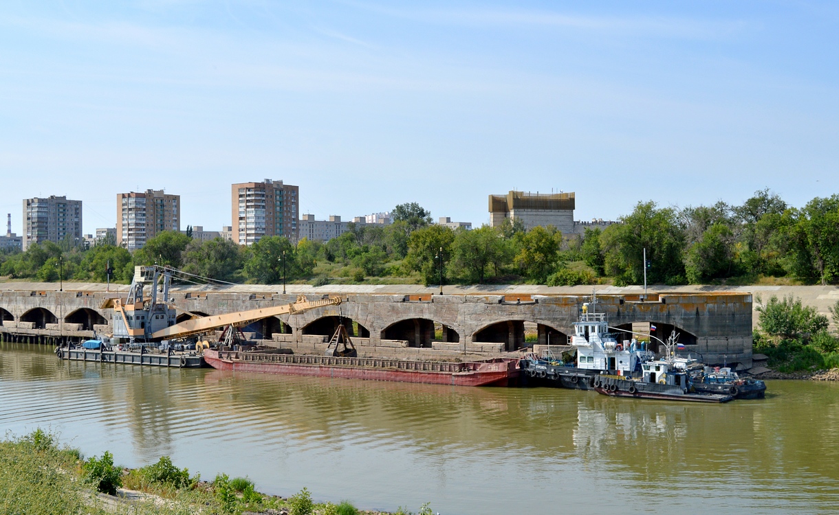 ДТ-6, Т-303, Стрежень, Морж