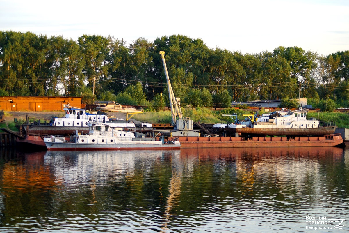 Иволга, Горлица, Т-11, Баклан