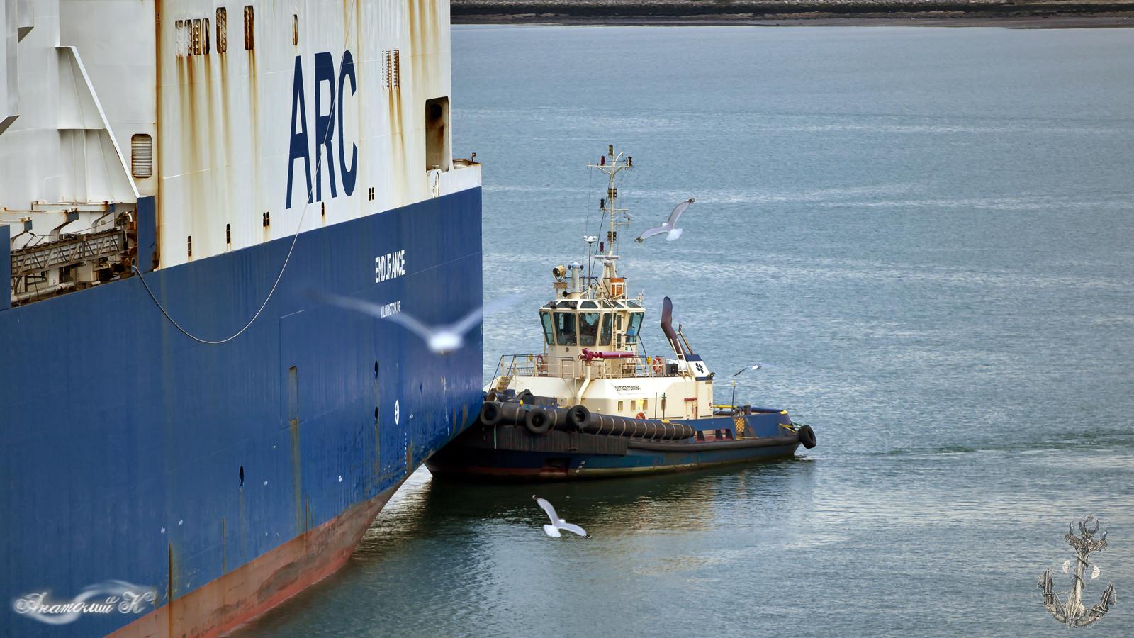 Svitzer Ferriby