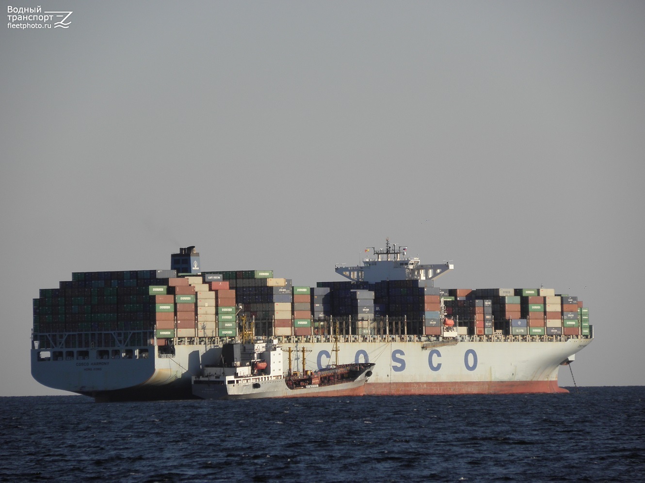 COSCO Harmony, Восток