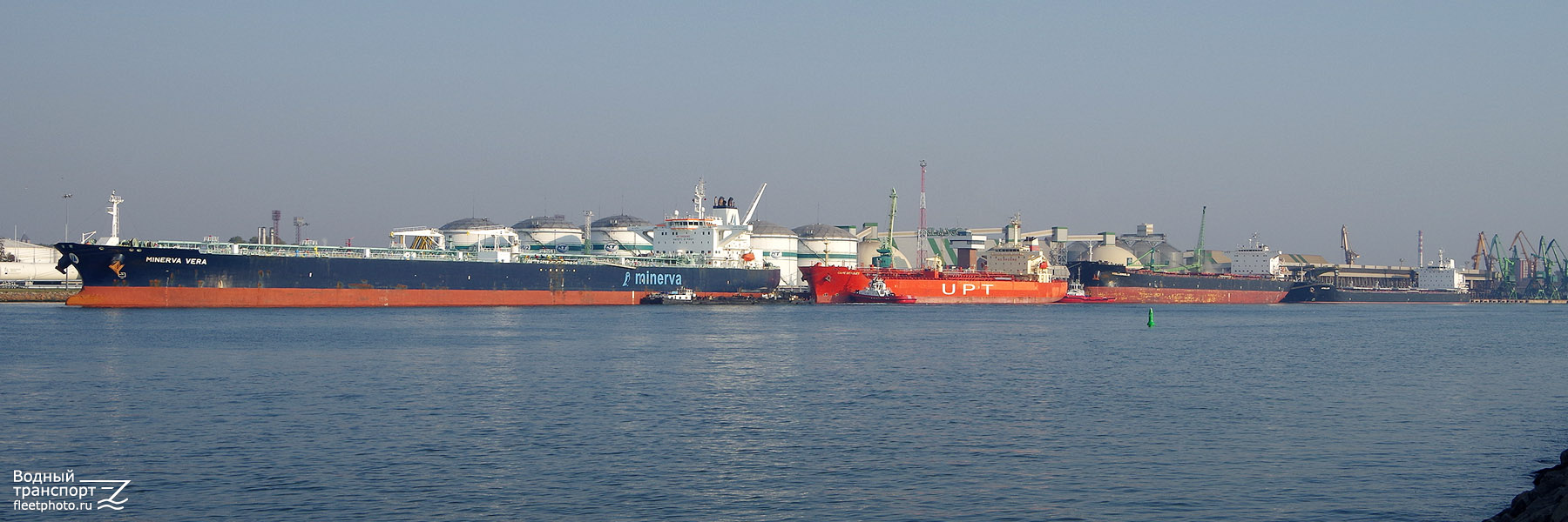 Minerva Vera, Cape Bradley, Woolloomooloo, Apollon