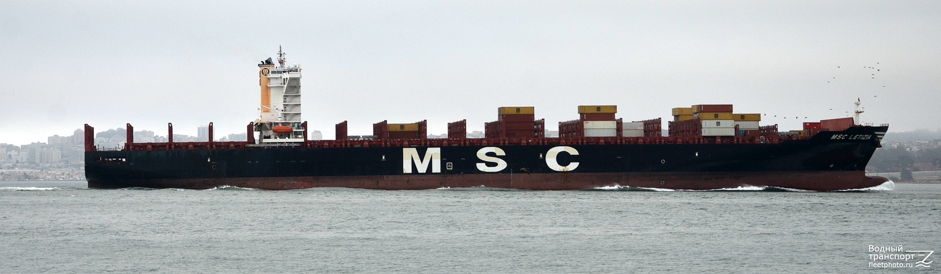 MSC Letizia