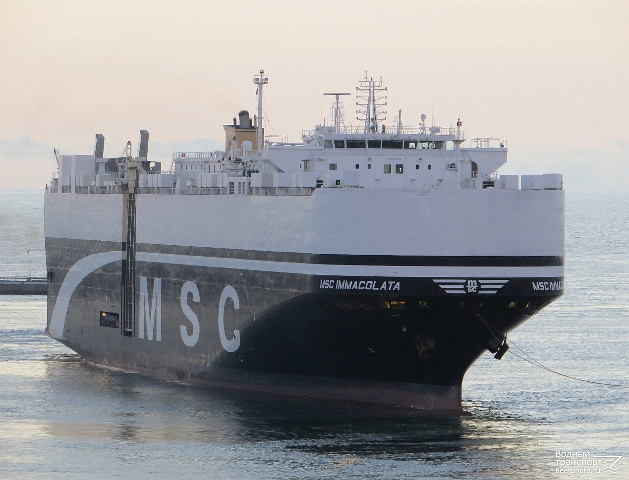 MSC Immacolata