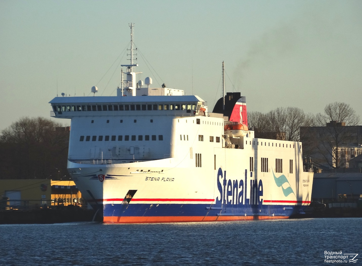 Stena Flavia